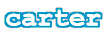 carter.gif (1453 bytes)