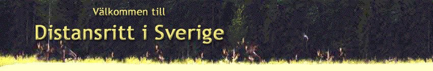 Distansritt �r n�rmast att likna vid maraton till h�st. T�vlingsstr�ckorna varierar fr�n fyra till 16 mil och dessa rids vanligtvis under en och samma dag. H�sten veterin�rkontrolleras f�re, under samt efter ritten f�r att garantera dess v�lbefinnande under t�vlingsmomentet.