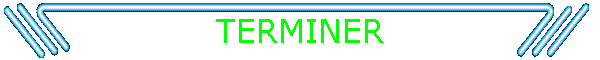 TERMINER