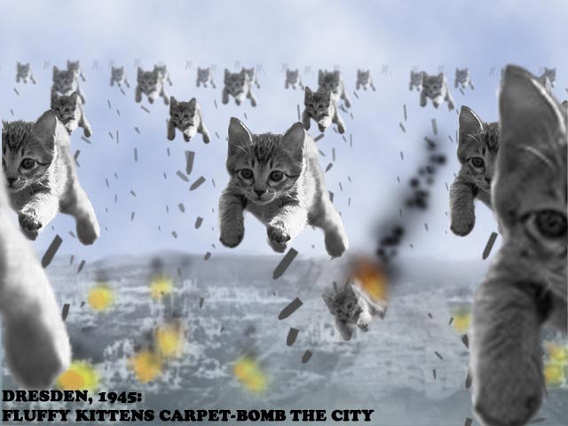Meow