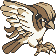 PIDGEOTT