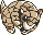 SANDSHREW