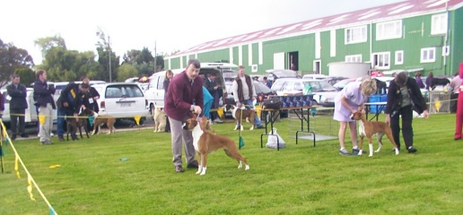 Southland Kennel Association Championship Show 2001