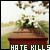 Hate Kills