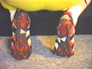 Predater2