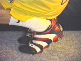 Predater7