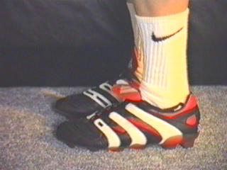 Predater8