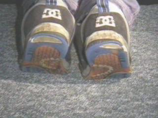 DC Boxer5