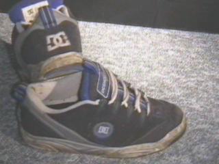 DC Boxer1