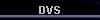  DVS 