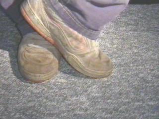 Emerica Beige10