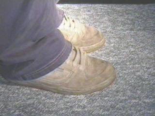 Emerica Beige13