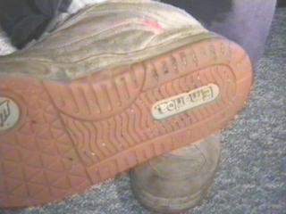 Emerica Beige5