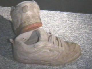Emerica Beige1