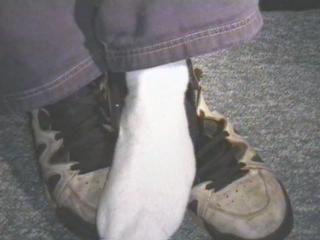 Nike Air Strong8