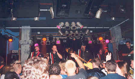The Porkers