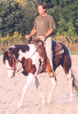 2000 Gelding by Double Duce