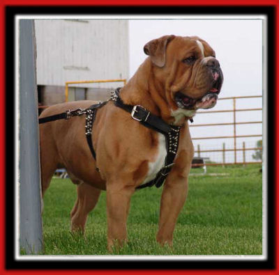 capone