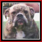 hollymolly