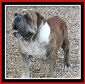 Sampson