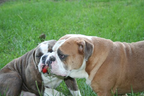 play time