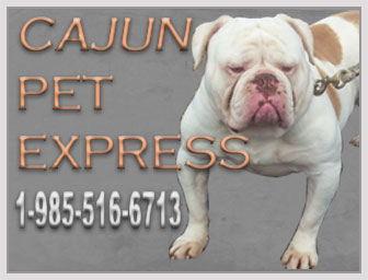 Cajun Pet Express
