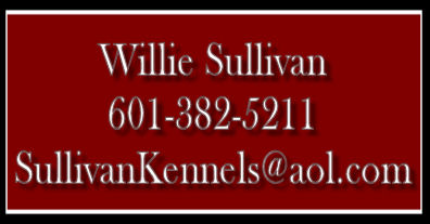 Contact Us Willie