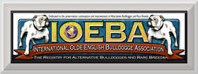 IOEBA