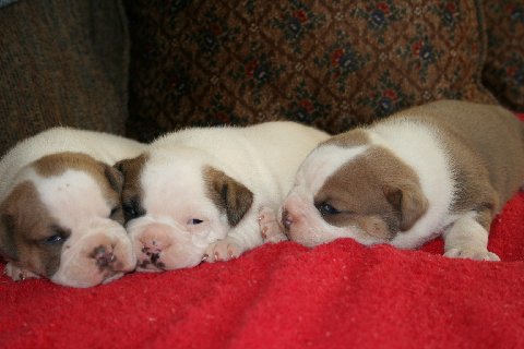 All 3