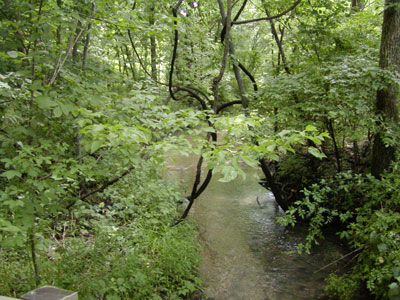 Rock Creek