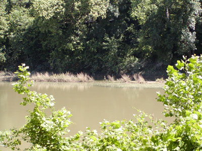Meramec River