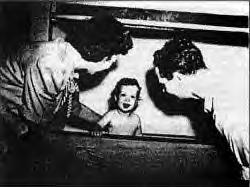 Baby tender mistaken for Skinner box (JPG)