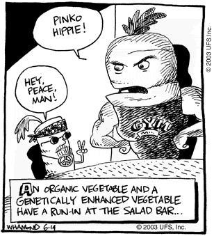 Reality Check (JPG)
