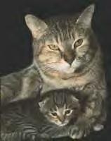 Jazz with mother Cayenne (JPG)