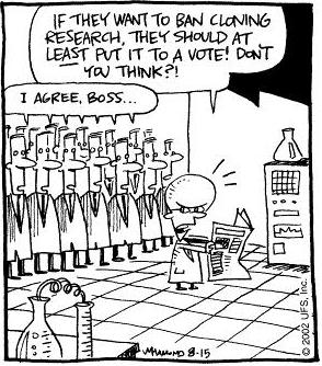 Reality Check (JPG)
