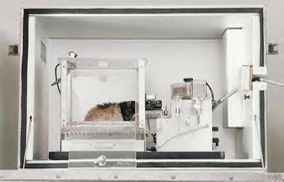 Guinea pig in a Skinner box (JPG)
