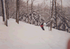 Trey Kauffman