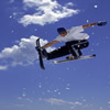 Flying Fish