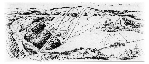bron: www.wildewiese.de