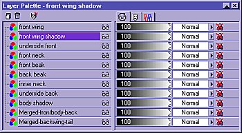 The correct layer order