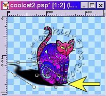 floating cat