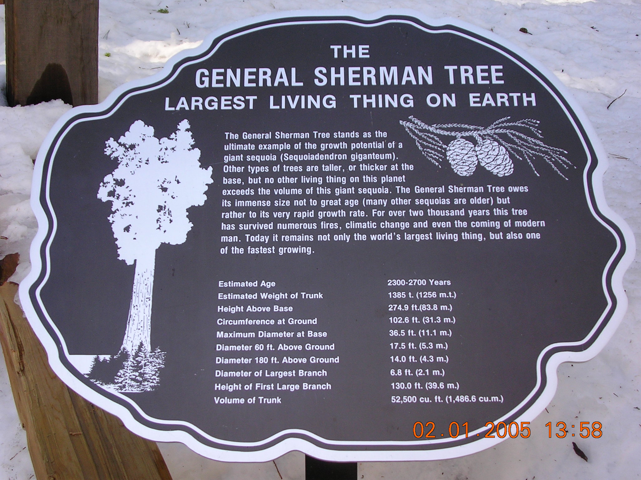General Sherman Facts