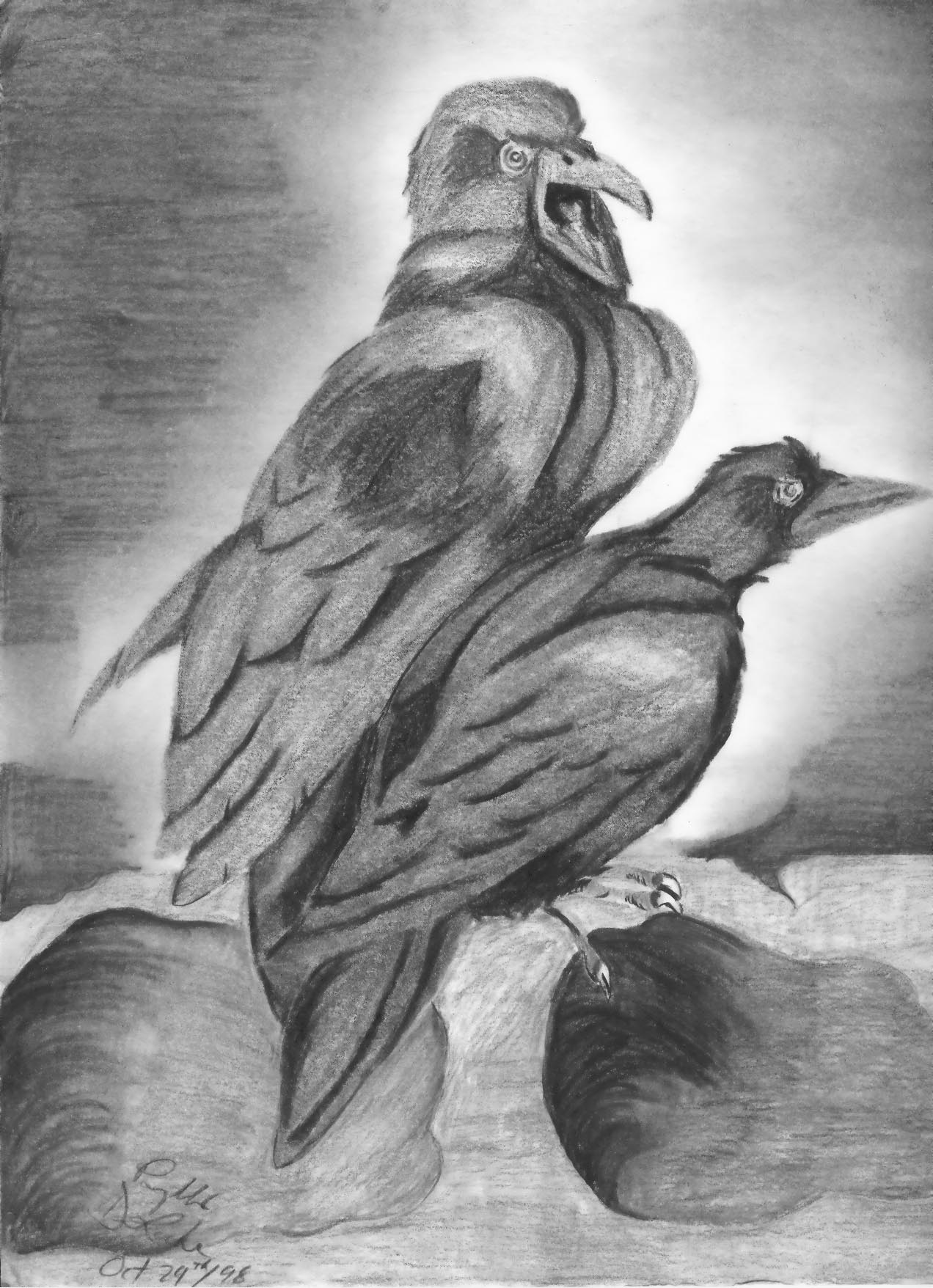 two crows in charcoal