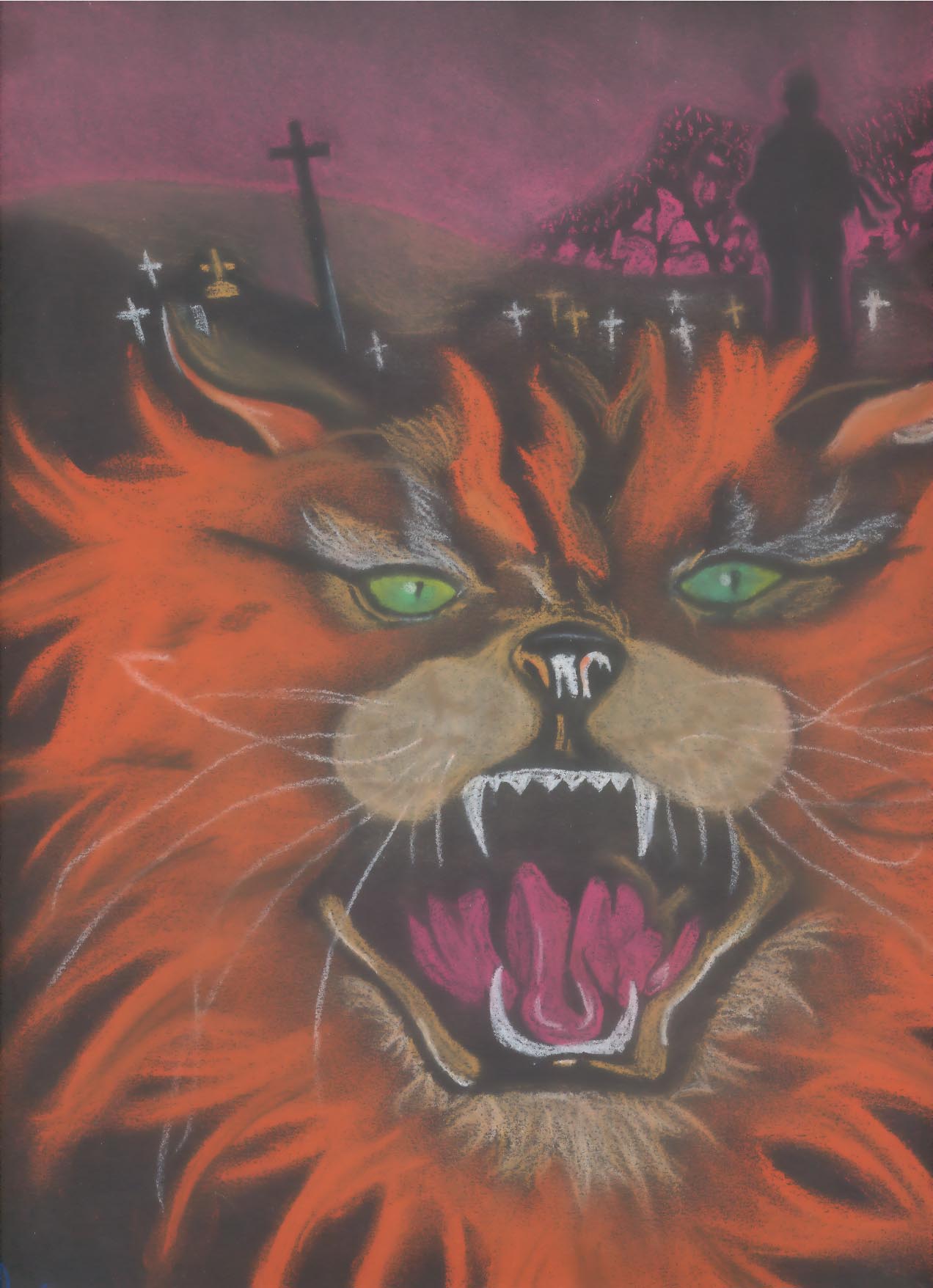 the pet semetary cat done in pastel on black paper
