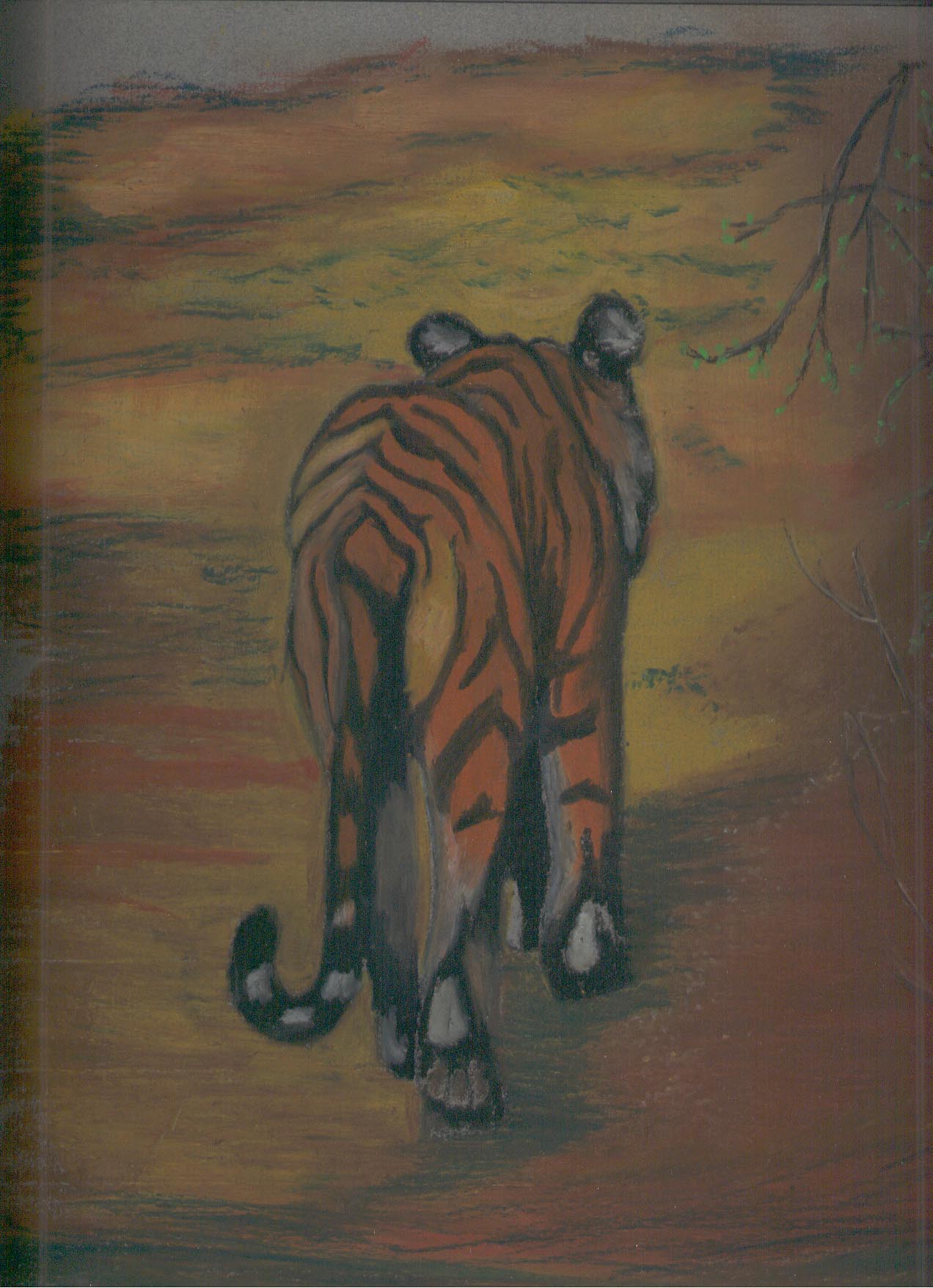 tiger done in pastel