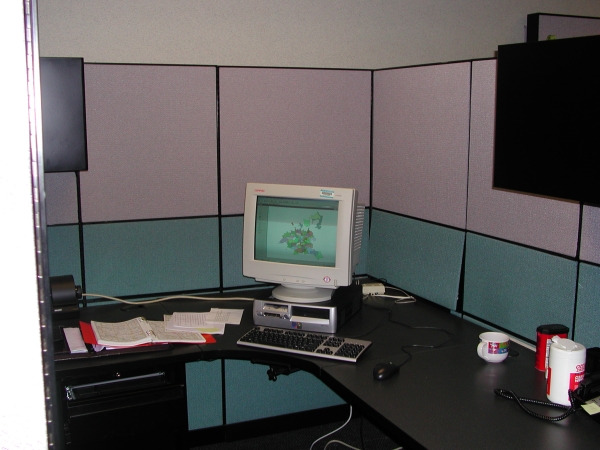 office photo 3