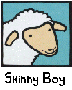 Front - Skinny Boy Online