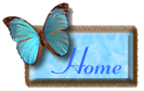 fly1home.gif (6862 bytes)