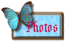 photos.gif (6991 bytes)