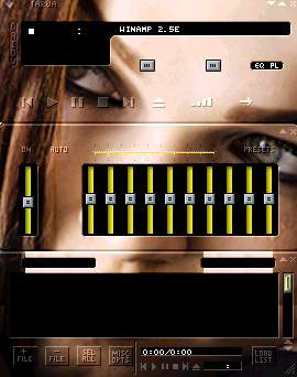 Nightwish Download